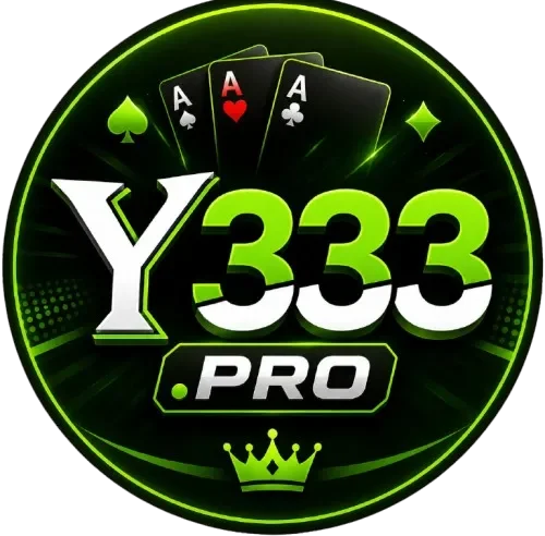 Y333 Game